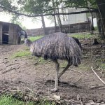 phoca_thumb_m_vlet km 50 Fotogalerie